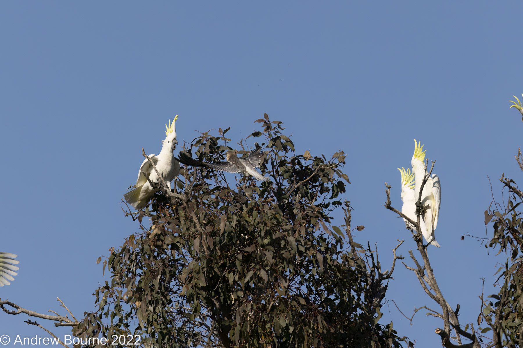 It is starting to look serious