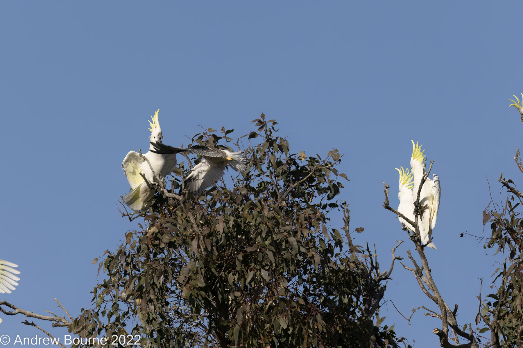 Gotta get out of here