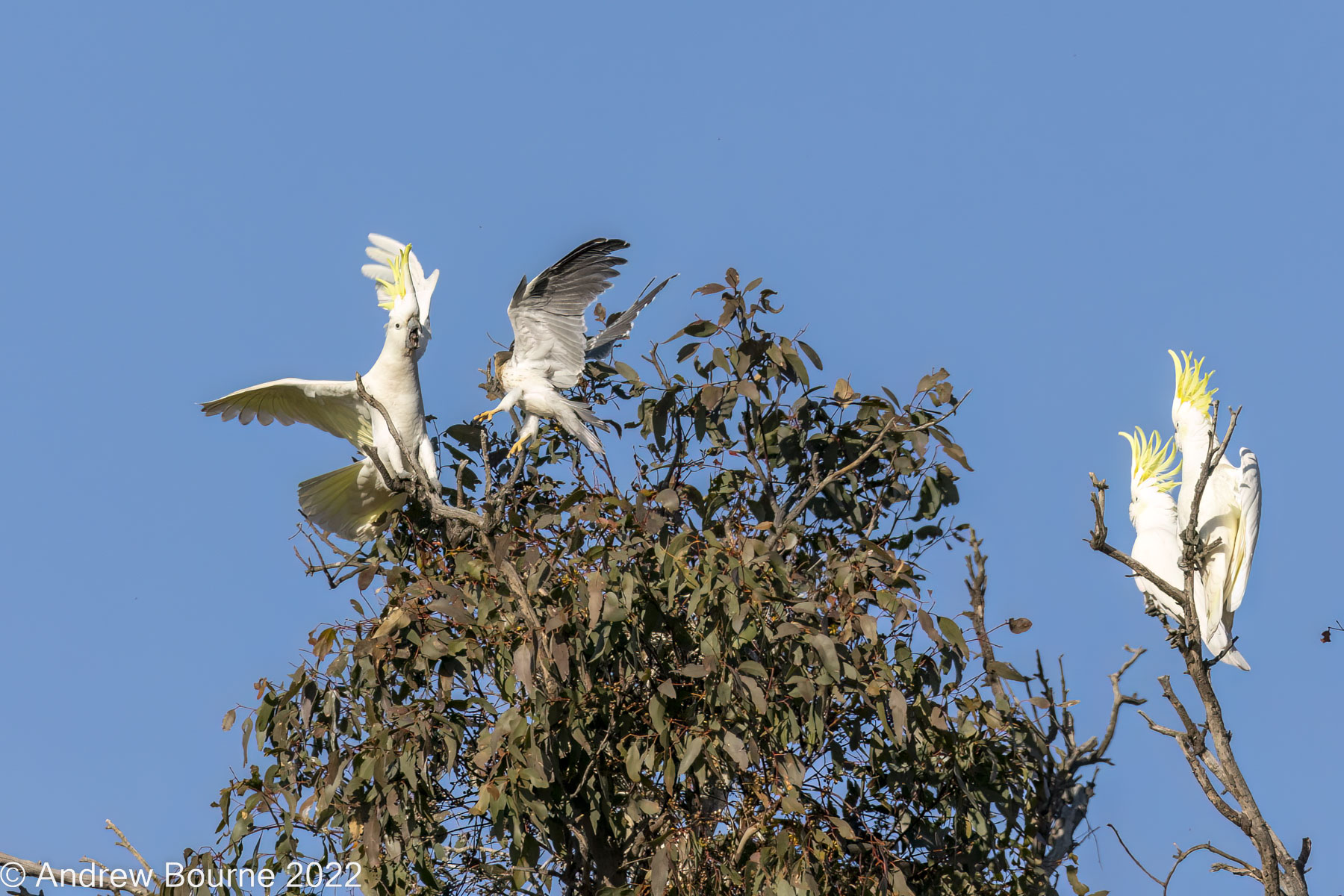 Glad I can fly backwards