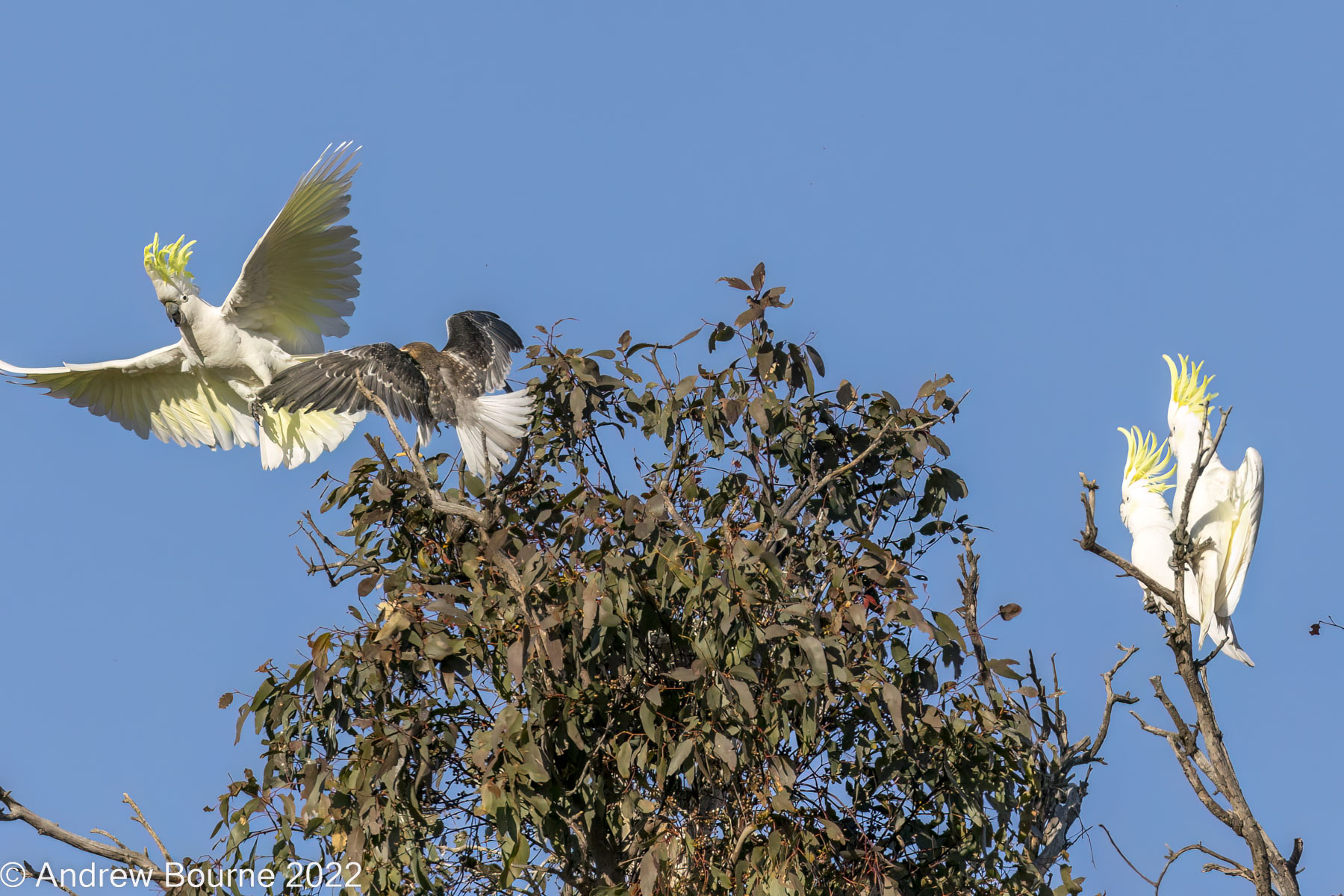 Perhaps I was too cocky!